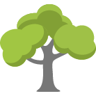 Nashville Tree Trimming Service