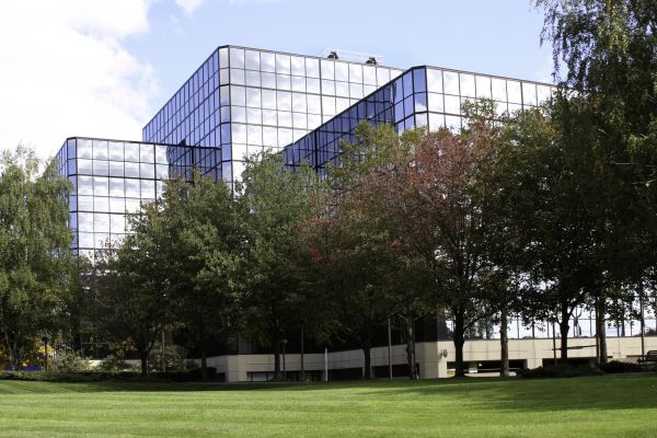 Commercial Tree Trimming in Nashville