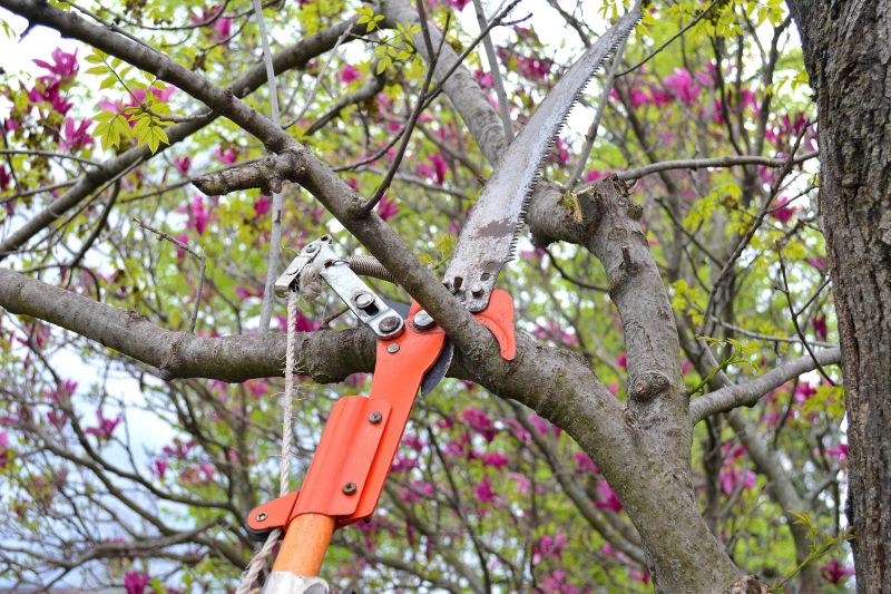 Tree Trimming Tools